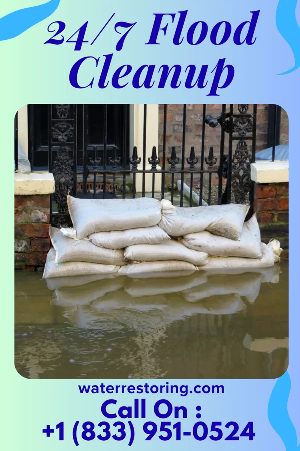 24/7 Flood Cleanup in Lakeside, VA