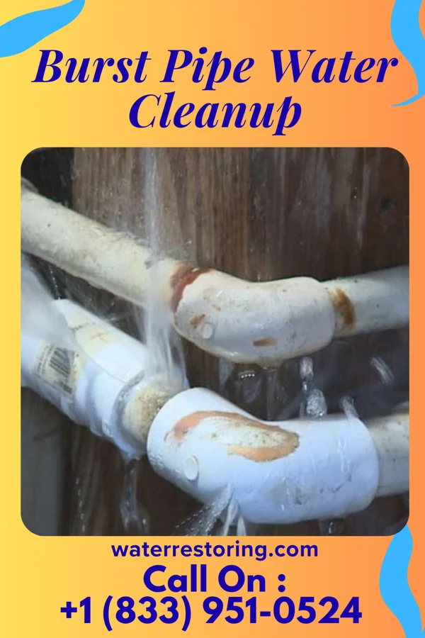 Burst Pipe Water Cleanup in Lakeside, VA