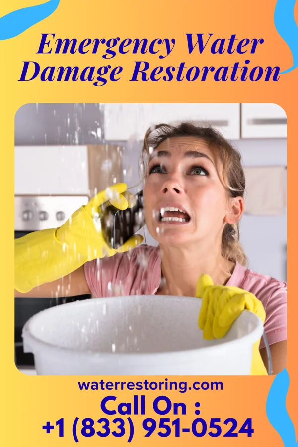 Emergency Water Damage Restoration in Lakeside, VA