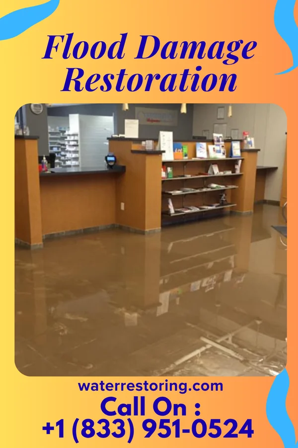 Flood Damage Restoration in Lakeside, VA