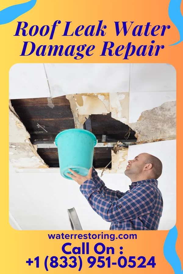 Roof Leak Water Damage Repair in Lakeside, VA