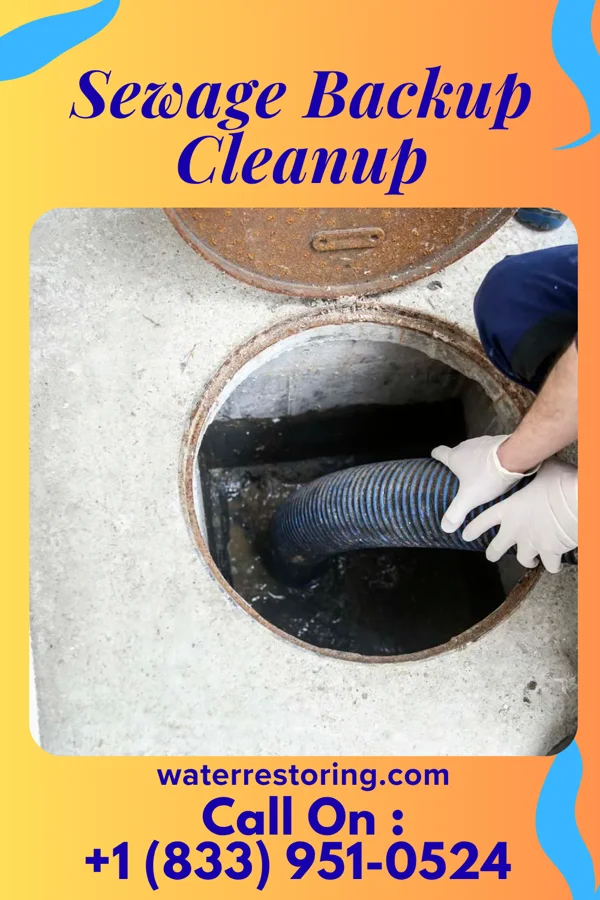 Sewage Backup Cleanup in Lakeside, VA