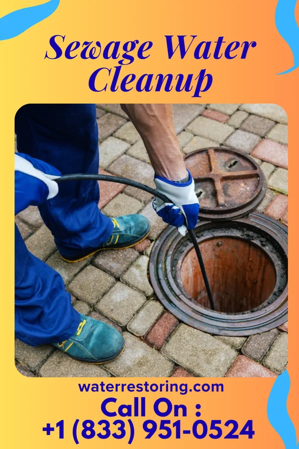 Sewage Water Cleanup in Lakeside, VA