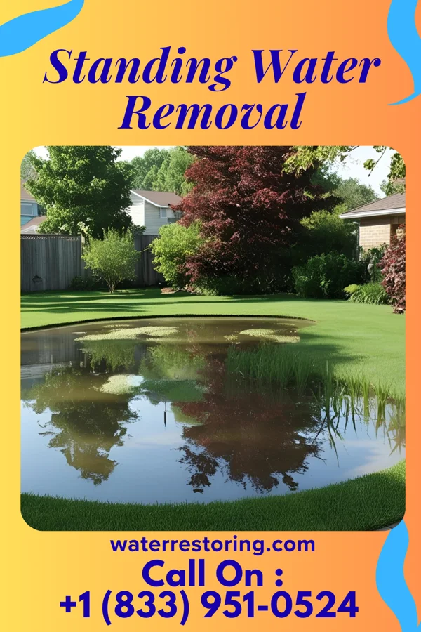 Standing Water Removal in Lakeside, VA
